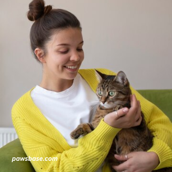 Best Tips for New Cat Owners